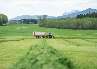 Remolques de ensilado Pöttinger Jumbo 7380 DB