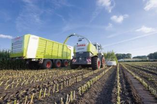 Picadoras - tracción 2 ruedas Claas Jaguar 890