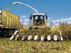 Picadoras - tracción 2 ruedas Claas Jaguar 890