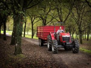 Tractores - tracción 2 ruedas Massey Ferguson MF 3645 A