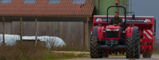 Tractores - tracción 2 ruedas Massey Ferguson MF 3650 A