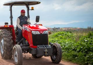 Tractores - tracción 2 ruedas Massey Ferguson MF 2635