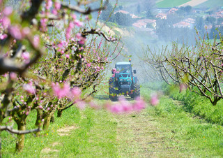 Tractores - tracción 4 ruedas Arbos 4090 Q