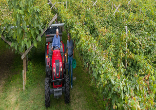 Tractores - tracción 4 ruedas Valtra F75S