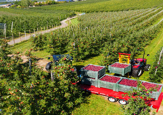 Tractores - tracción 4 ruedas Valtra F75S