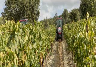 Tractores - tracción 4 ruedas McCormick X4.120F