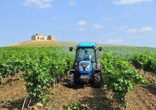 Tractores - tracción 4 ruedas Landini Rex 120F