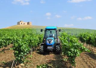 Tractores - tracción 4 ruedas Landini Rex DT 4-080F
