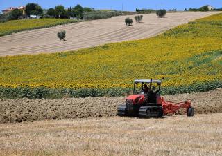 Cosechadoras DEUTZ-FAHR C 7205 Farmline