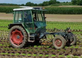 Tractores - tracción 2 ruedas Fendt F 360 GT