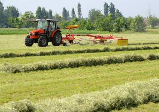 Vehículos Tractores de uso municipal DEUTZ-FAHR Agrokid 230