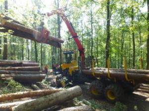 Máquinas forstales Tractores forestales especiales Welte W 140 T
