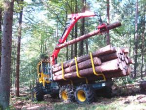 Máquinas forstales Tractores forestales especiales Welte W 140 T