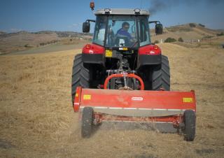 Trituradoras Maschio Chiara 250 S