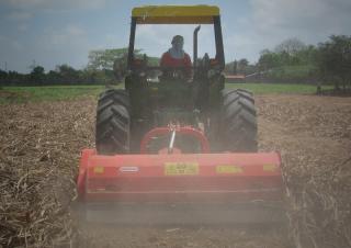 Trituradoras Maschio Tornado 280
