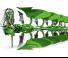 Arados Amazone Cayros XMS 3-850 S