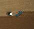 Arados Lemken Diamant 16 7+1 L 100