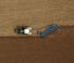 Arados Lemken Diamant 16 V 7+1 L 100