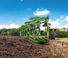 Amazone Hektor 5+1-1000 S