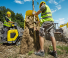 Dúmperes de orugas Wacker Neuson DT10