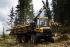 Máquinas forstales Cabezas tractoras (Forwarder) Ponsse Gazelle