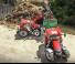 Cargadora frontal Case IH L3920U
