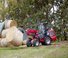 Cargadoras de ruedas Weidemann 2080 LP T 