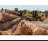 Cargadoras de ruedas Caterpillar 938M