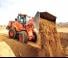 Cargadoras de ruedas Doosan DL250-5