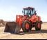 Cargadoras de ruedas Doosan DL250-5