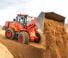 Cargadoras de ruedas Doosan DL250-5