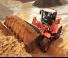 Cargadoras de ruedas Doosan DL 250