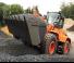 Cargadoras de ruedas Doosan DL 250