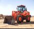 Cargadoras de ruedas Doosan DL250 TC 5