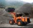 Cargadoras de ruedas Doosan DL 500