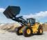 Cargadoras de ruedas Hyundai HL975