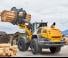 Cargadoras de ruedas Liebherr L 566 XPower