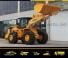 Sinoway SWL80G