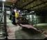 Cargadoras de ruedas eléctricas Wacker Neuson WL20 e