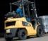 Caterpillar GP25N 