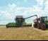 Cosechadoras Fendt 5255 L MCS Rice