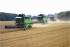 Cosechadoras DEUTZ-FAHR 6095 B HTS