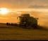 Cosechadoras Fendt 6275 L MCS Rice