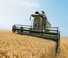 Cosechadoras Fendt 6335 C 