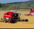 Massey Ferguson Activa 7245 S