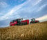 Cosechadoras Massey Ferguson Activa 7342-MCS