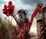 Cosechadoras Case IH Austoft 9900