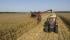 Cosechadoras Case IH Axial Flow 5088