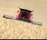 Cosechadoras Case IH Axial Flow 7140