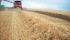 Cosechadoras Case IH Axial Flow 9120